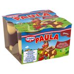 Budinca-cu-ciocolata-si-vanilie--4x125g--500g